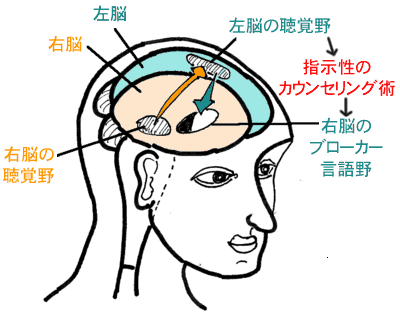 カウンセリングのゼミで脳の健康が向上しつづけるモデル図