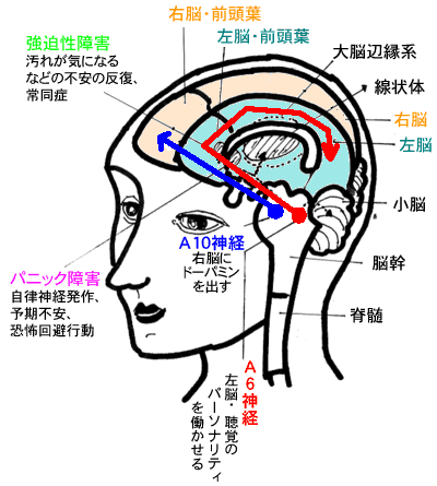 「指示性のカウンセリング」は社会性の世界（学校・仕事・社会の規範・人間関係のルール・合理的な思考）と正しく関わる！を一緒に考えつづけるカウンセリング術です