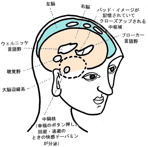 不安恐怖　感情　欲　好き嫌い　敵味方　と脳