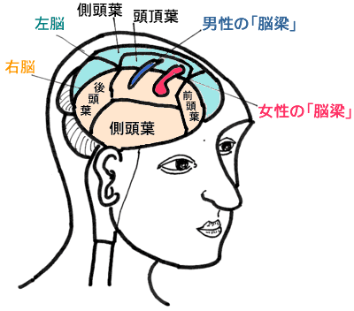 女性と心を分かち合える「脳」