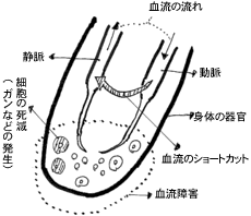 あなたの脳が正常になり身体のいろいろな器官のいろいろな思考障害が治ります。