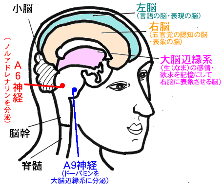 イヤだと思ったらたちまち、身体に症状が出て、家から出られません