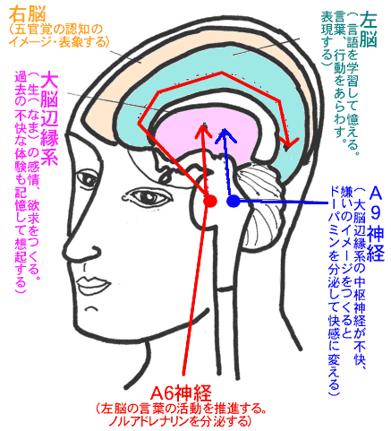 イヤだと思ったらたちまち、身体に症状が出て、家から出られません