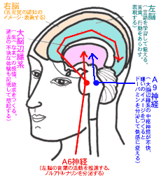 あなたの「うつ病」をつくる「脳の働き方」のモデル図