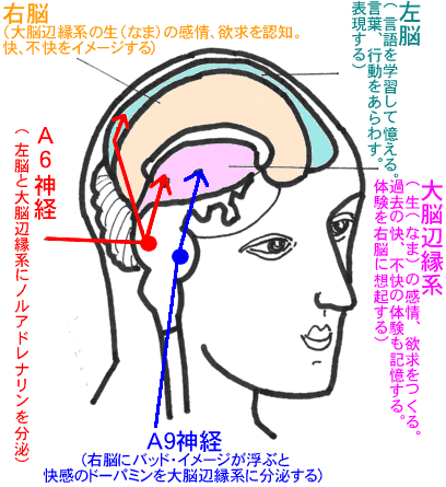 イヤだと思ったらたちまち、身体に症状が出て、家から出られません