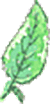 icon_leaf.png
