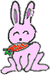 icon_rabbit.png